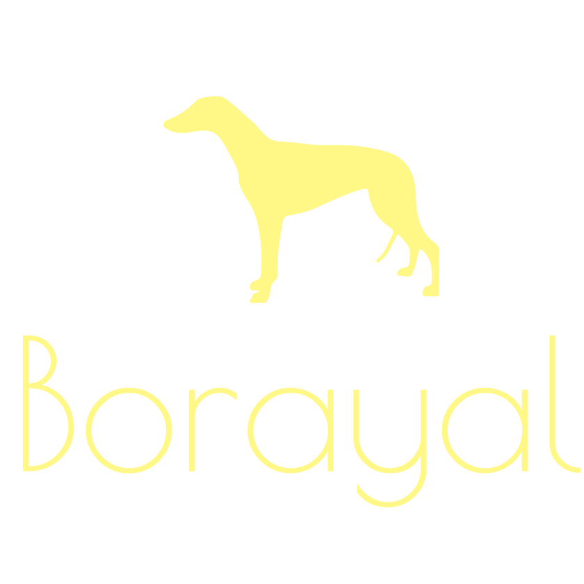 Borayal Logo